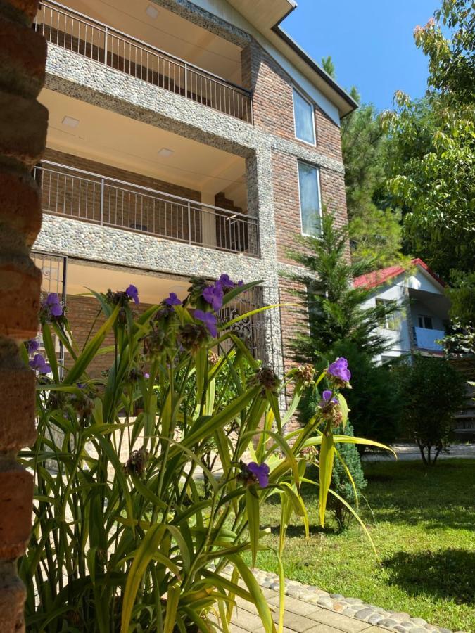 Guest House Shekvetili Екстер'єр фото